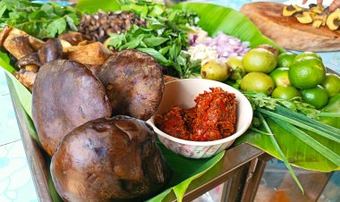 อร่อยพุงกาง!ชาวครบุรีแห่เก็บเห็ดตับเต่าปรุเมนูเด็ด “ก้อยตับเต่า”ทาน ที่เหลือขายสร้างรายได้งาม