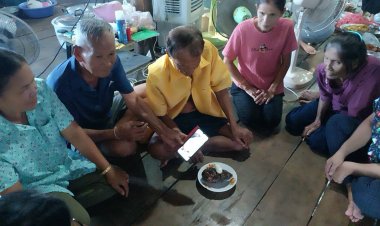 ฮือฮา!เต่าไข่เป็นหิน  ลูบคลำไข่เต่าใบเจอเลขเด็ด ลุ้นเสียงโชคงวดนี้