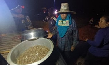 ส่องวิถีคนชนบทฝนเทแห่ไสกุ้งฝอยเขื่อนลำแชะยามค่ำคืนกินขายสร้างรายได้เสริม