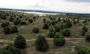 เปิดโลกให้รู้!อัศจรรย์เมืองพันปลวก แหล่งท่องเที่ยวใหม่เมืองเสิงสาง