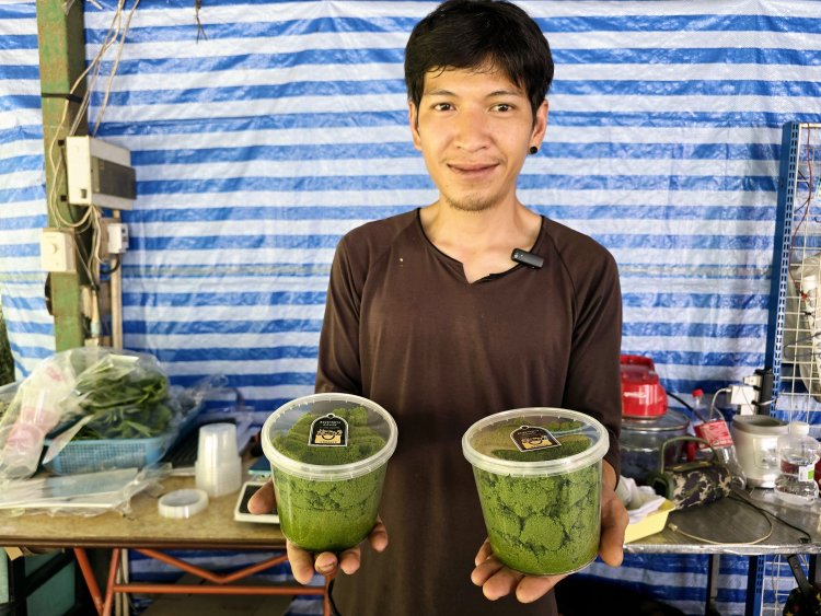 หนุ่มยะลาเลิกอาชีพฟรีแลนซ์กลับบ้านเกิดเพาะไข่ผำขายสร้างรายได้งาม