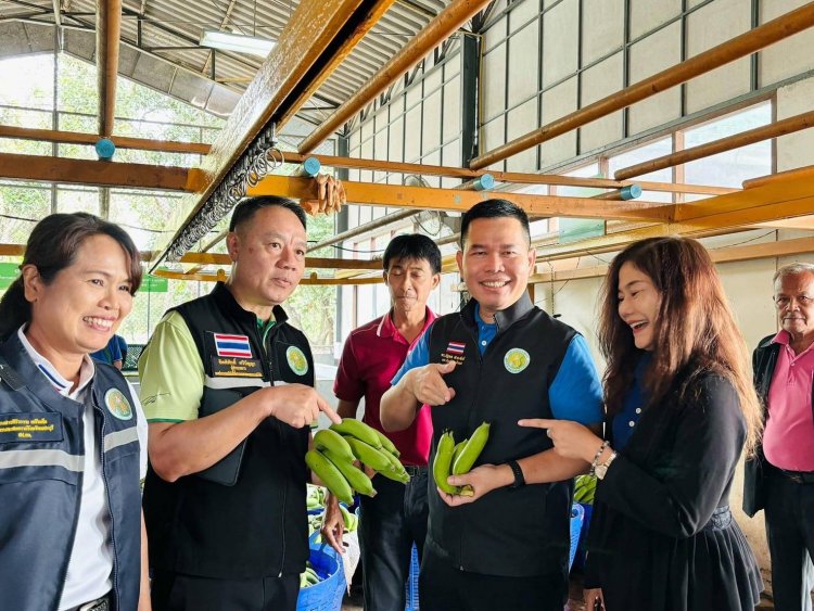 โมเดล 1 ท้องถิ่น 1 สินค้าเกษตรมูลค่าสูง ปี'67 บรรลุเป้า 100 ตำบล นำร่อง 144 กลุ่มสินค้า