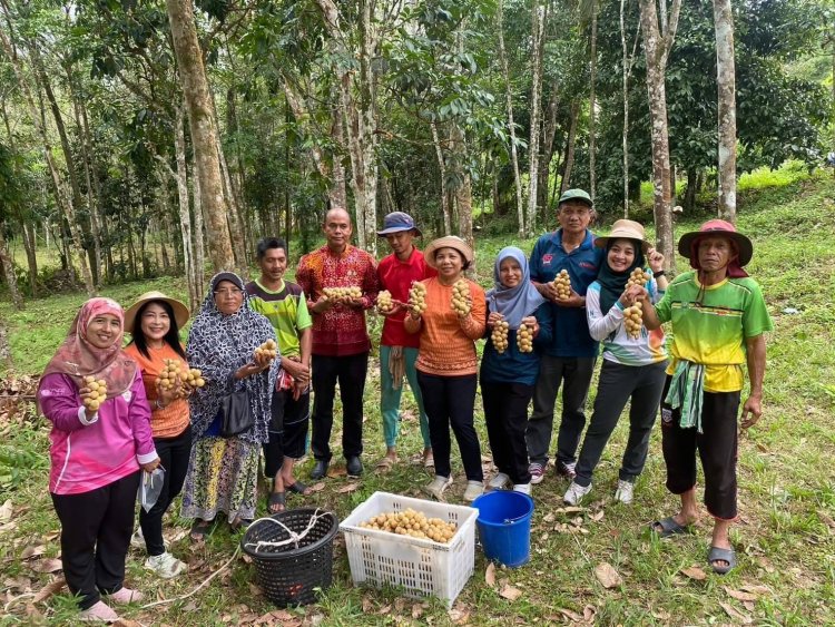 เกษตรฯวางเป้าพัฒนาลองกองตันหยงมัส อัตลักษณ์นราธิวาส สร้างมูลค่าเพิ่ม