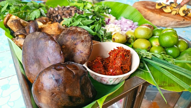 อร่อยพุงกาง!ชาวครบุรีแห่เก็บเห็ดตับเต่าปรุเมนูเด็ด “ก้อยตับเต่า”ทาน ที่เหลือขายสร้างรายได้งาม