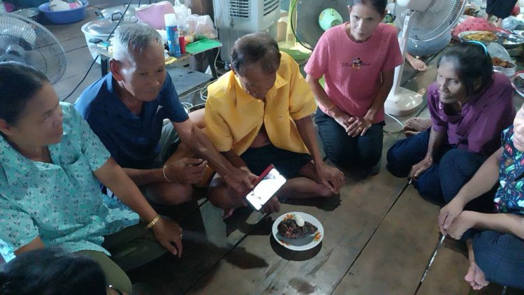 ฮือฮา!เต่าไข่เป็นหิน ลูบคลำไข่เต่าใบเจอเลขเด็ด ลุ้นเสียงโชคงวดนี้