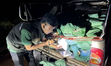 ฉก.พญานาคราช ตรวจยึดหนังสุกร กว่า 860 กิโล พื้นที่มุกดาหาร