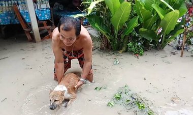 ลานสักฝนตกหนักน้ำท่วมฉับพลัน ตายายวุ่นลำเลียงสุนัข 8 ตัวไม่ห่วงเก็บสิ่งของ