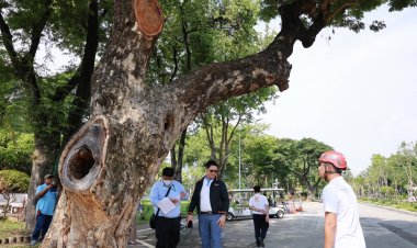เข็มเหล็ก จับมือ กทม.  เครือข่ายมหาวิทยาลัย เสริมความปลอดภัยด้วย “FLEXITREE” ค้ำยันต้นไม้ใหญ่ ลดความเสี่ยง-อนุรักษ์สิ่งแวดล้อม ถ.วิทยุ