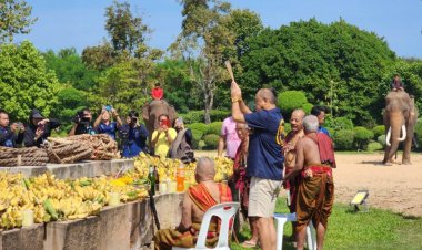 อลังการ ! เบิร์ธเดย์ “เนวิน ชิดชอบ” 66 ปี จัดพิธีปะกำช้างสืบทอดประเพณีวงศ์ตระกูล