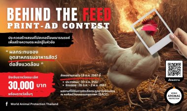องค์กรพิทักษ์สัตว์แห่งโลก ปลุกใจชาวอาร์ต เปิดประลองไอเดียครีเอทีฟ "Print Ads Contest"