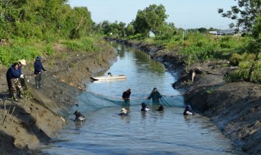 ประมงจังหวัดยืนยันปลาหมอคางดำในสมุทรสงคราม –สมุทรสาครลดลง ซีพีเอฟมอบปลาผู้ล่าเพิ่มอีก 10,000 ตัว