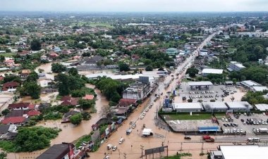 หลากสาเหตุน้ำท่วมภาคเหนือ:ความท้าทายที่รัฐต้องรับมือ (ไม่ใช่แค่ข้าวโพดเลี้ยงสัตว์)