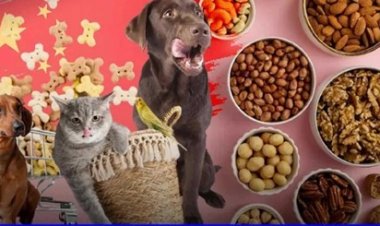 อุตสาหกรรมอาหารสัตว์เลี้ยงไทยโตต่อเนื่อง คาดปี 2025 ทะลุ 8 หมื่นล้าน