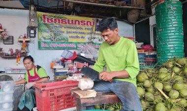 มะพร้าวน้ำหอมราคาตกฮวบเหลือลูกละ 10 บาท หลังจีนหยุดนำเข้าชั่วคราว