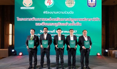 หนุนเกษตรกรมีชีวิตอยู่ดีมีสุขปลูกกาแฟอาราบิก้า และพืชเศรษฐกิจยั่งยืน