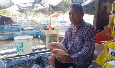 เกษตรกรผู้เลี้ยงปลากระชังปราจีนบุรีร้องปลาลอยคอตายไม่ทราบเหตุ