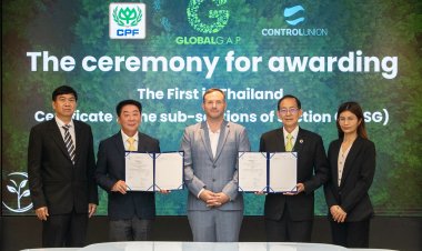 รายแรกของไทย ... ธุรกิจอาหารสัตว์บก ซีพีเอฟ ได้รับมาตรฐาน Global G.A.P.