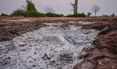ไทยพบแร่โพแทช 4 แสนล้านตัน ในภาคอีสาน วัตถุดิบหลักสำคัญในการเกษตร