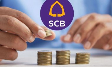 ไทยพาณิชย์ ปรับลดดอกเบี้ยเงินกู้ยกแผง สูงสุด 0.25% มีผล 1 พ.ย. 67