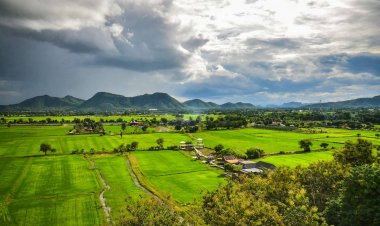 ท่องเที่ยว ส่งออก หนุนเศรษฐกิจไทยช่วงไตรมาส 4 มองแจกเงินหมื่นช่วยประคอง