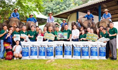 'ซีพีเอฟ-พันธมิตร-คู่ค้า' ร่วม “ต่อชีวิตช้างไทย” มอบอาหารช้างคุณภาพ สู่กลุ่มช้างเปราะบาง