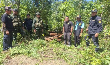 ทหาร ฉก.ราชมนู ตรวจยึดไม้ประดู่แปรรูปซุกป่าพื้นที่ อ.พบพระ