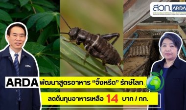 ARDA โชว์งานวิจัยรักษ์โลก นำใบมันสำปะหลังเหลือใช้พัฒนาสูตรอาหาร “จิ้งหรีด” ลดต้นทุน