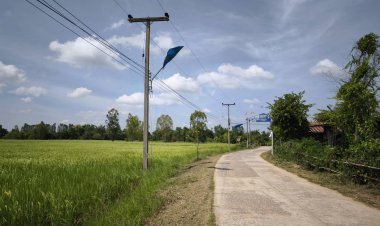 ชาวนาโคราชโอดไฟส่องทางกระทบข้าวไม่ออกรวง วอนเห็นใจปิดไฟบางช่วงช่วย