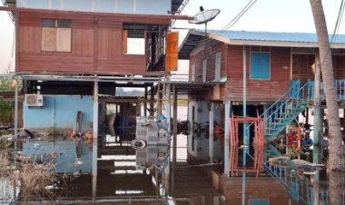 น้ำเหนือเอ่อ"เกาะเทโพ"อ่วมน้ำท่วม 2 หมู่ กระทบ 70 หลังคาเรือน ต้องใช้เรือสัญจรเข้าออก