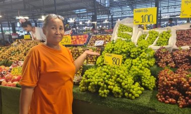 เงียบเหงา! แม่ค้าผลไม้โคราชโอดองุ่นไชน์มัสคัตขายไม่ออกหลังมีข่าวพบสารตกค้าง