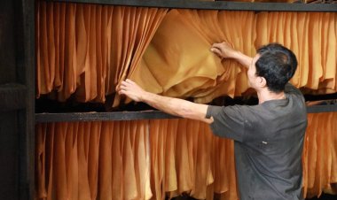 สินค้าเกษตรไทยส่งออกอันดับ 1 ในอาเซียนติดอันดับ 8 ของโลก