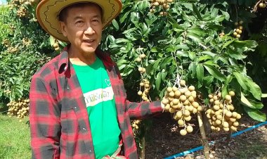 หนุ่มใหญ่โคราชทำเกษตรผสมผสานเปิดให้นักท่องเที่ยวเข้าชิมและเรียนรู้