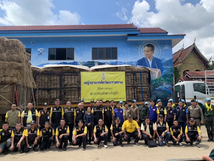 “หญ้าอาหารสัตว์พระราชทาน” ช่วยช้างประสบอุทกภัย ส่งถึงอำเภอแม่แตง จังหวัดเชียงใหม่แล้ว
