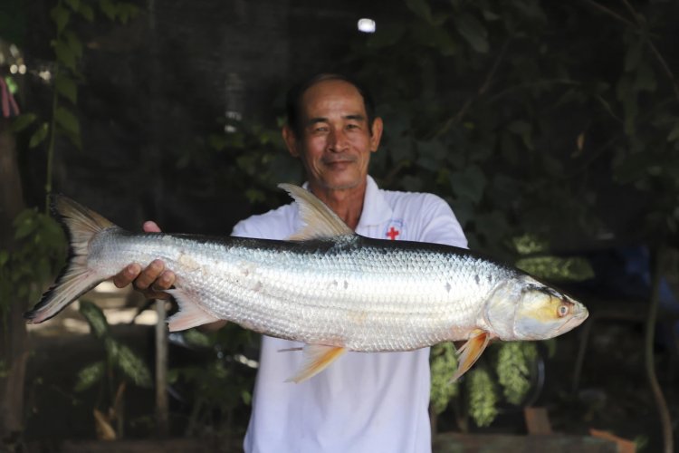ฮือฮา! พบ ‘ปลาผี’ โผล่อีกครั้ง กลางลุ่มน้ำโขง ชาวบ้านตะลึง หลังสูญพันธุ์มา 20 ปี