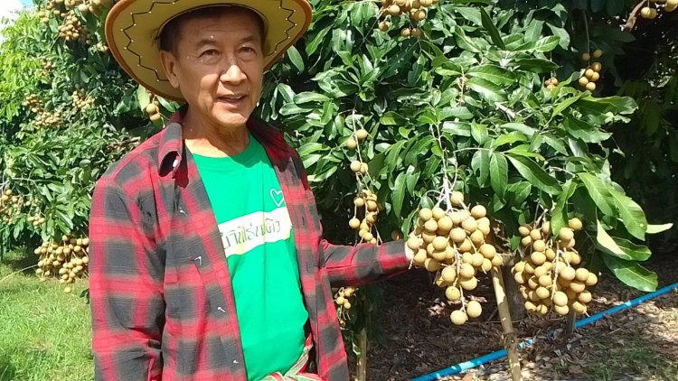 หนุ่มใหญ่โคราชทำเกษตรผสมผสานเปิดให้นักท่องเที่ยวเข้าชิมและเรียนรู้
