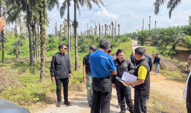 ลุยทวงคืนสวนปาล์มกว่า 700 ไร่ จังหวัดกระบี่
