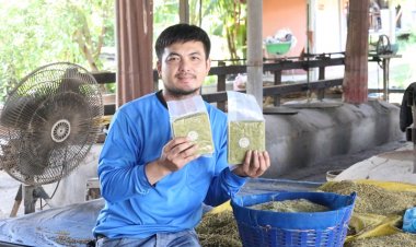 ซอฟต์พาวเวอร์ ข้าวเม่าภูมิปัญญาอีสาน สร้างรายได้วันละแสน