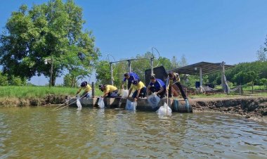 โมเดลใหม่...ประมงสมุทรสงครามเปิดตัวกิจกรรม “สิบหยิบหนึ่ง” ปราบปลาหมอคางดำ จับมือเกษตรกรร่วมแก้ปัญหาในบ่อเลี้ยงเกษตรกรและแหล่งน้ำธรรมชาติ
