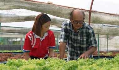 ‘คณิณไฮโดรฟาร์ม’ ฟาร์มผักปลอดภัย ที่ปลูกด้วยหัวใจล้วนๆ