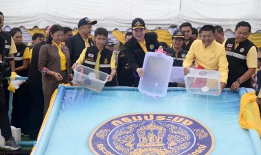 ชูแนวคิด จับ 1 ปล่อย 100 “งานจับปลาบึกเขื่อนแก่งกระจาน"