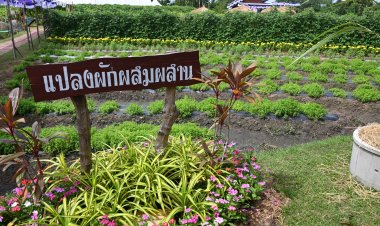 กรมวิชาการเกษตร จัดงานใหญ่เฉลิมพระเกียรติพระบาทสมเด็จพระเจ้าอยู่หัว  แจกฟรีพืชพันธุ์ดีกว่า 7 พันต้น