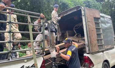 รรท.ผู้ว่าราชการจังหวัดตากสนธิกำลังตรวจยึดไม้แปรรูปกว่า 2 แสนบาท