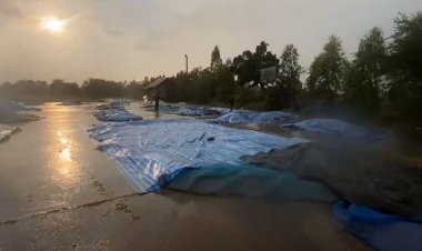 ชาวนาชัยภูมิเศร้า!ฝนหลงฤดูถล่มข้าวเปลือกตากไว้เปียกชื้นเสียหายหนัก