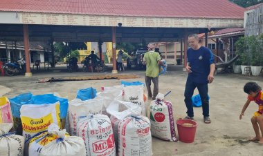 ชาวนาโคราชกุมขมับ!ฝนกระหน่ำข้าวตากไว้เปียกชื้นเสียหายยับ