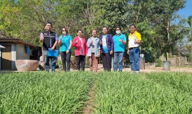 สศก. เผย ผลการประเมินโครงการ Agri–Map ช่วยเกษตรกรปรับเปลี่ยนการผลิตเหมาะสม