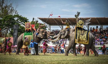 ยิ่งใหญ่อลังการตระการตา มหัศจรรย์งานช้างสุรินทร์ 2567 กระตุ้นท่องเที่ยว