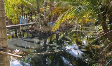 เกษตรกรโคราชเดือดร้อนหนัก ร้านซ่อมรถชุ่ยเทน้ำมันเครื่องลงท่อ ปลาตายเพีย