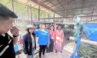 สศท.5 หนุน‘หม่อนไหม’ ทดแทนผลิตข้าวนาปีพื้นที่ จังหวัดชัยภูมิ