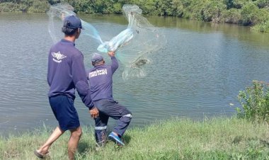 รวมพลคนใต้ ลงแขกพิฆาต "ปลาหมอคางดำ"