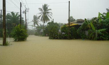ฝนถล่มพัทลุง 15 ตำบล 4 อำเภอ ผจญ อุทกภัย-วาตภัย เร่งอพยพชาวบ้าน